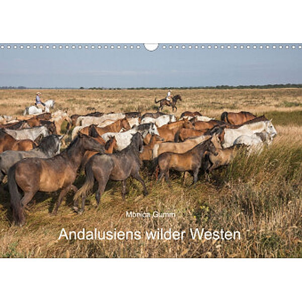 Pferde - Andalusiens wilder Westen (Wandkalender 2022 DIN A3 quer), Monica Gumm