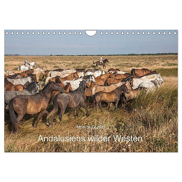 Pferde - Andalusiens wilder Westen (Wandkalender 2024 DIN A4 quer), CALVENDO Monatskalender, Monica Gumm