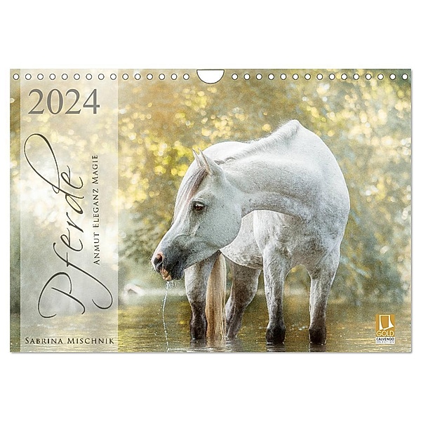Pferde - Anmut, Eleganz, Magie (Wandkalender 2024 DIN A4 quer), CALVENDO Monatskalender, Sabrina Mischnik