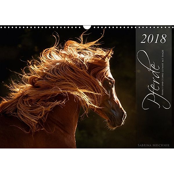 Pferde - Anmut und Stärke gepaart mit Magie (Wandkalender 2018 DIN A3 quer), Sabrina Mischnik