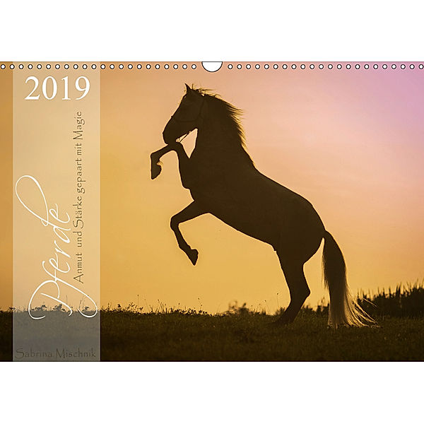 Pferde - Anmut und Stärke gepaart mit Magie (Wandkalender 2019 DIN A3 quer), Sabrina Mischnik