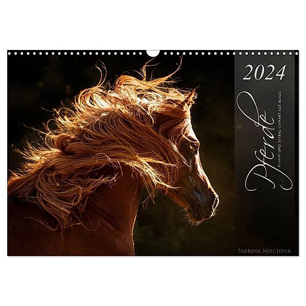 Pferde - Anmut und Stärke gepaart mit Magie (Wandkalender 2024 DIN A3 quer), CALVENDO Monatskalender, Sabrina Mischnik