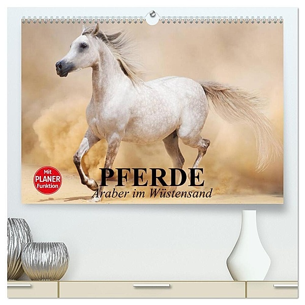 Pferde. Araber im Wüstensand (hochwertiger Premium Wandkalender 2024 DIN A2 quer), Kunstdruck in Hochglanz, Elisabeth Stanzer