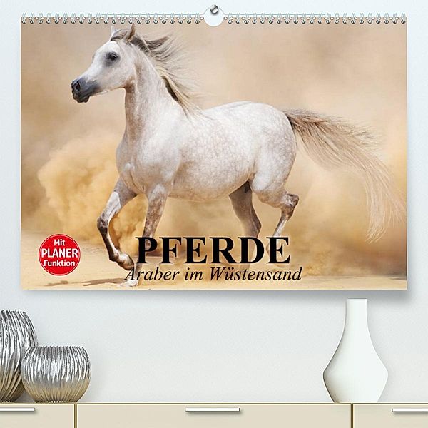 Pferde. Araber im Wüstensand (Premium, hochwertiger DIN A2 Wandkalender 2023, Kunstdruck in Hochglanz), Elisabeth Stanzer