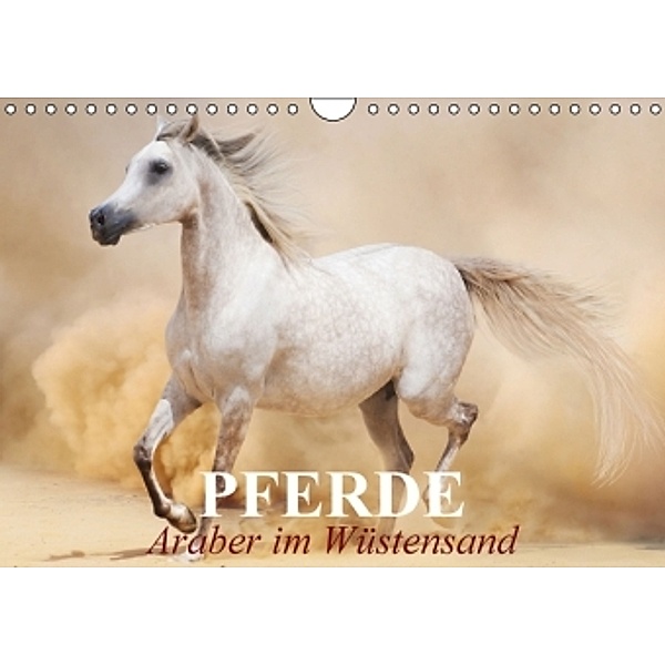 Pferde - Araber im Wüstensand (Wandkalender 2016 DIN A4 quer), Elisabeth Stanzer