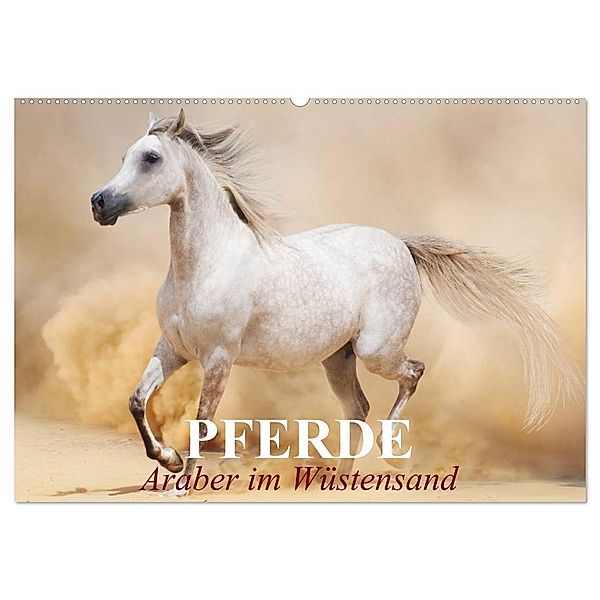 Pferde - Araber im Wüstensand (Wandkalender 2024 DIN A2 quer), CALVENDO Monatskalender, Elisabeth Stanzer