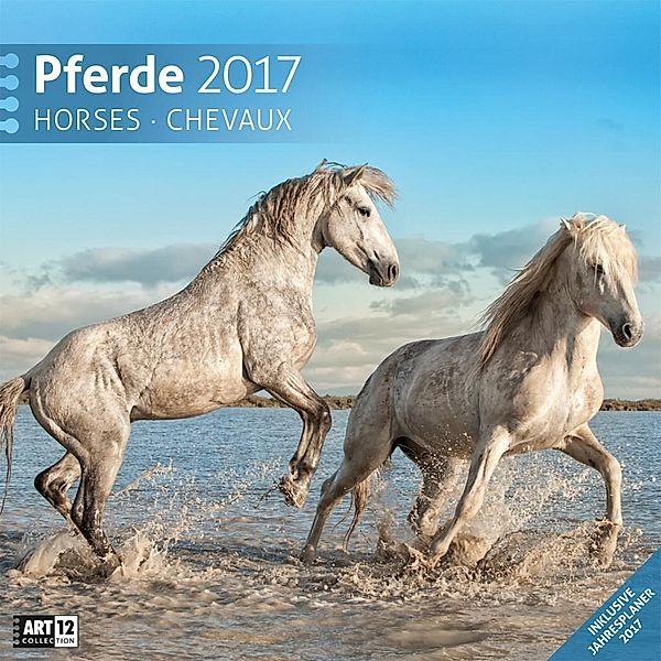Pferde, Broschürenkalender 2017