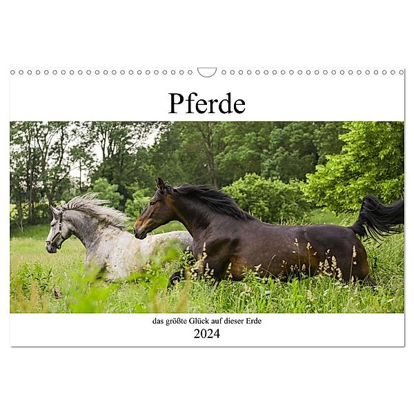 Pferde, das grösste Glück auf dieser Erde (Wandkalender 2024 DIN A3 quer), CALVENDO Monatskalender, Elke Laage
