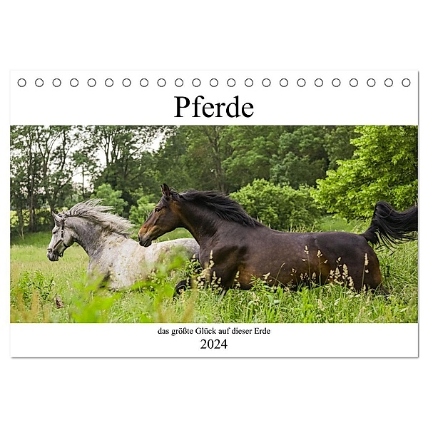 Pferde, das größte Glück auf dieser Erde (Tischkalender 2024 DIN A5 quer), CALVENDO Monatskalender, Elke Laage