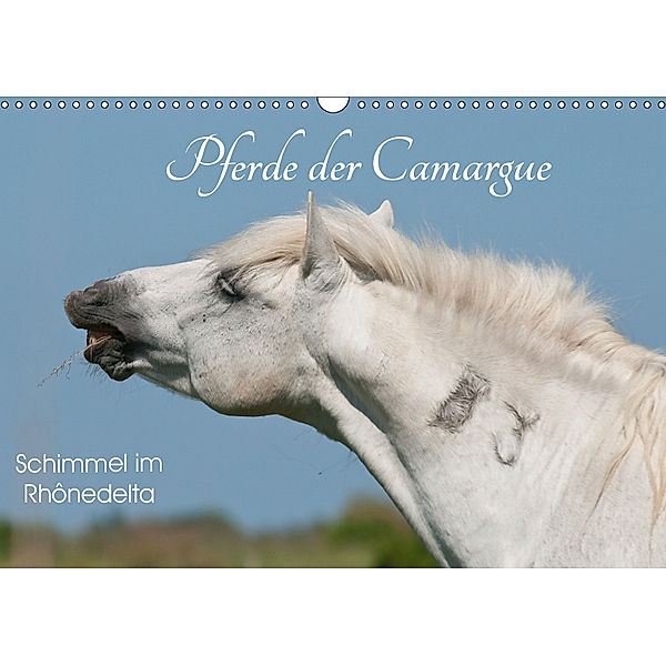 Pferde der Camargue - Schimmel im Rhônedelta (Wandkalender 2019 DIN A3 quer), Meike Bölts