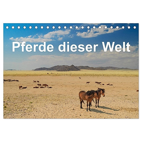 Pferde dieser Welt (Tischkalender 2024 DIN A5 quer), CALVENDO Monatskalender, Jürgen Wöhlke