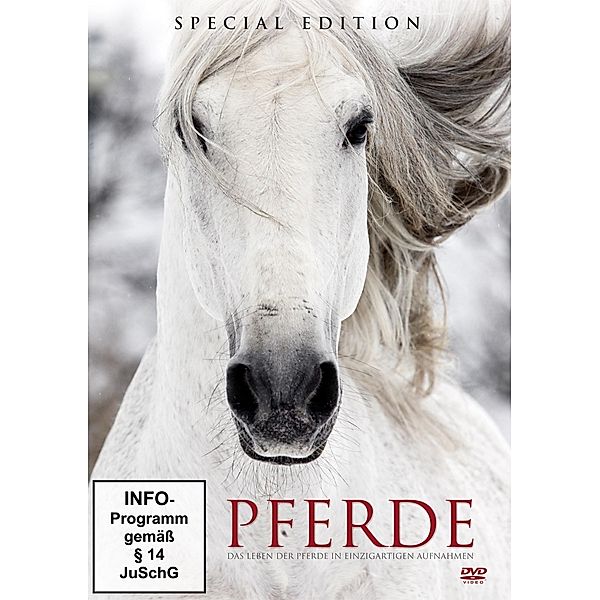 Pferde, DVD, Diverse Interpreten