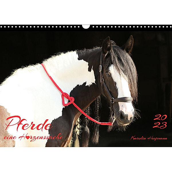 Pferde - eine Herzenssache (Wandkalender 2023 DIN A3 quer), Karolin Heepmann