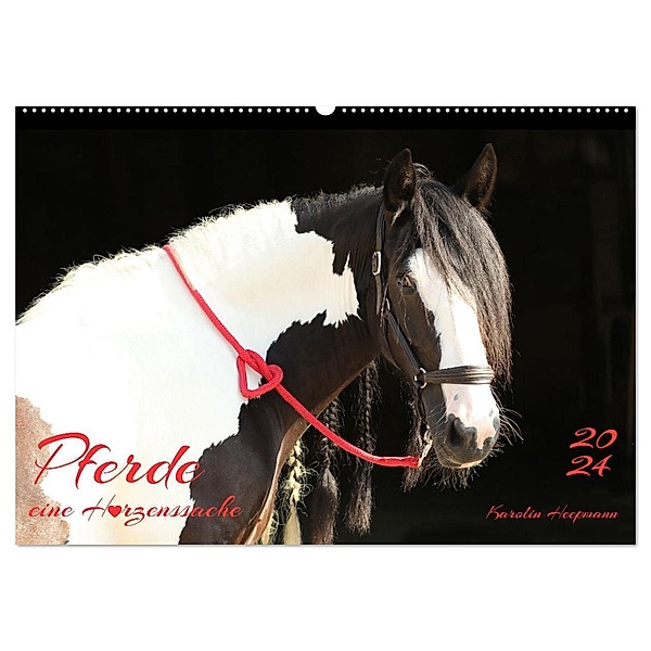 Pferde - eine Herzenssache (Wandkalender 2024 DIN A2 quer), CALVENDO Monatskalender, Karolin Heepmann