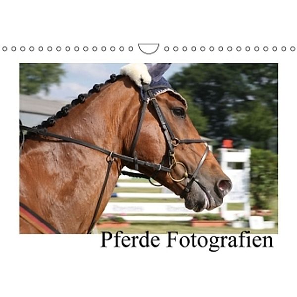 Pferde Fotografien (Wandkalender 2016 DIN A4 quer), Christine Daus
