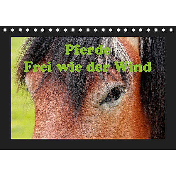 Pferde Frei wie der Wind (Tischkalender 2019 DIN A5 quer), Jan Wolf