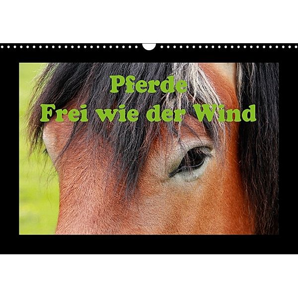 Pferde Frei wie der Wind (Wandkalender 2018 DIN A3 quer), Jan Wolf