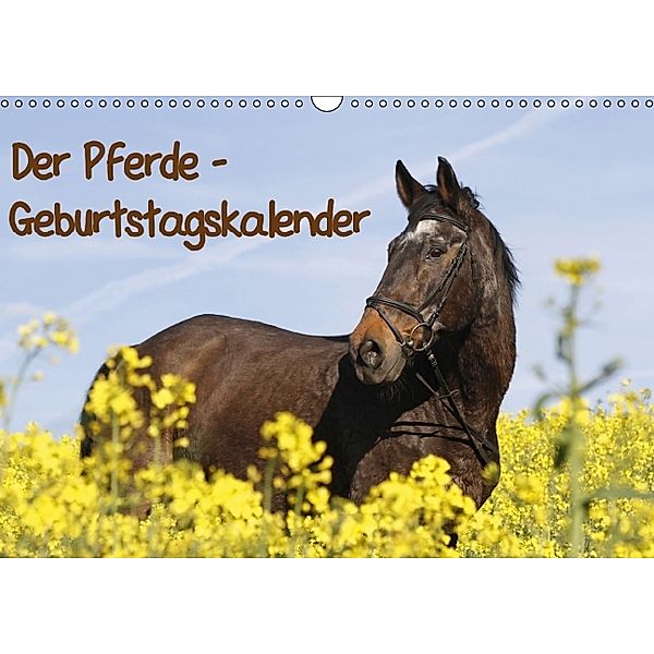 Pferde / Geburtstagskalender / AT-Version (Wandkalender immerwährend DIN A3 quer), Antje Lindert-Rottke
