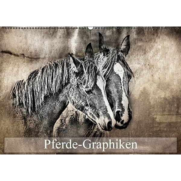 Pferde-Graphiken (Wandkalender 2015 DIN A2 quer), Alain Gaymard