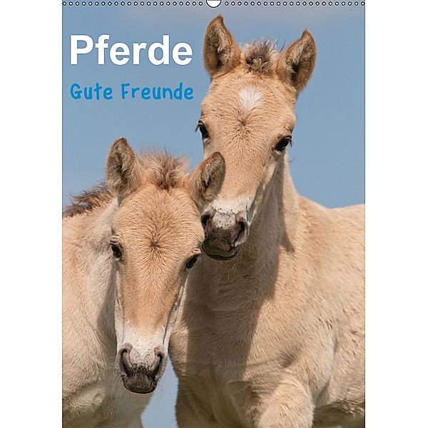 Pferde Gute Freunde (Wandkalender 2019 DIN A2 hoch), Meike Bölts