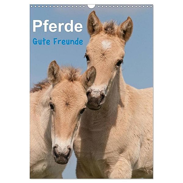 Pferde Gute Freunde (Wandkalender 2024 DIN A3 hoch), CALVENDO Monatskalender, Meike Bölts
