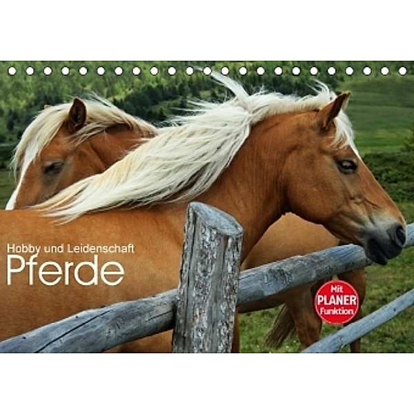 Pferde - Hobby und Leidenschaft (Tischkalender 2017 DIN A5 quer), Georg Niederkofler
