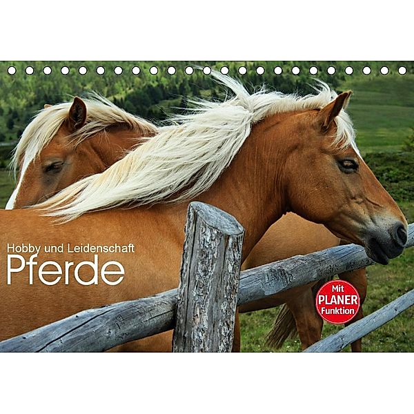 Pferde - Hobby und Leidenschaft (Tischkalender 2021 DIN A5 quer), Georg Niederkofler