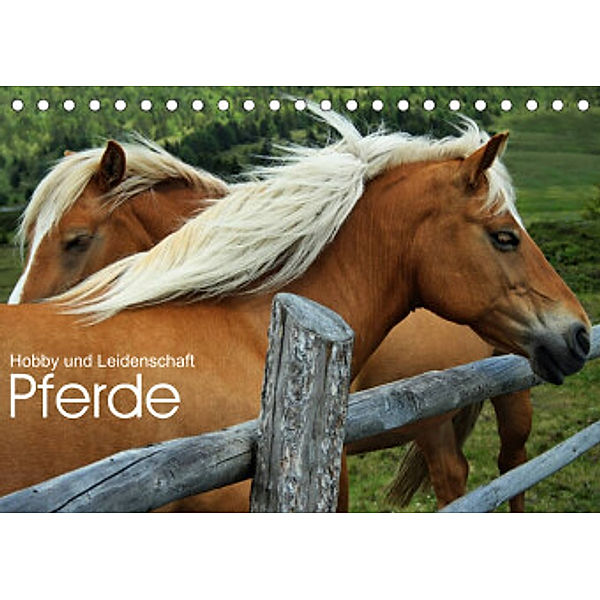 Pferde - Hobby und Leidenschaft (Tischkalender 2022 DIN A5 quer), Georg Niederkofler