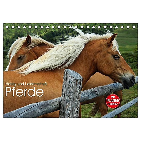 Pferde - Hobby und Leidenschaft (Tischkalender 2024 DIN A5 quer), CALVENDO Monatskalender, Georg Niederkofler