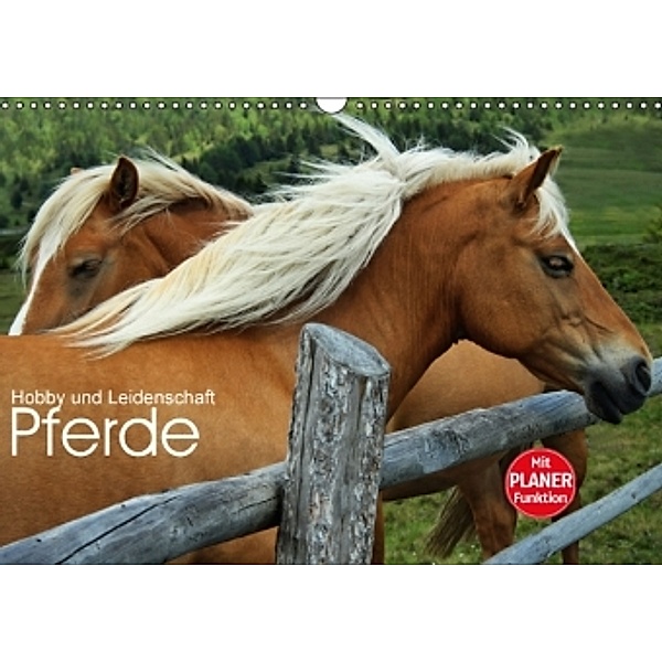 Pferde - Hobby und Leidenschaft (Wandkalender 2016 DIN A3 quer), Georg Niederkofler