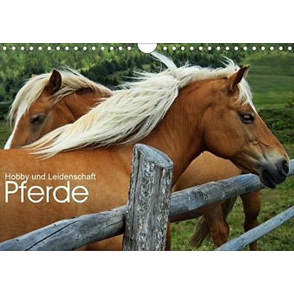 Pferde - Hobby und Leidenschaft (Wandkalender 2020 DIN A4 quer), Georg Niederkofler