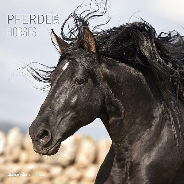 Pferde / Horses 2019, ALPHA EDITION