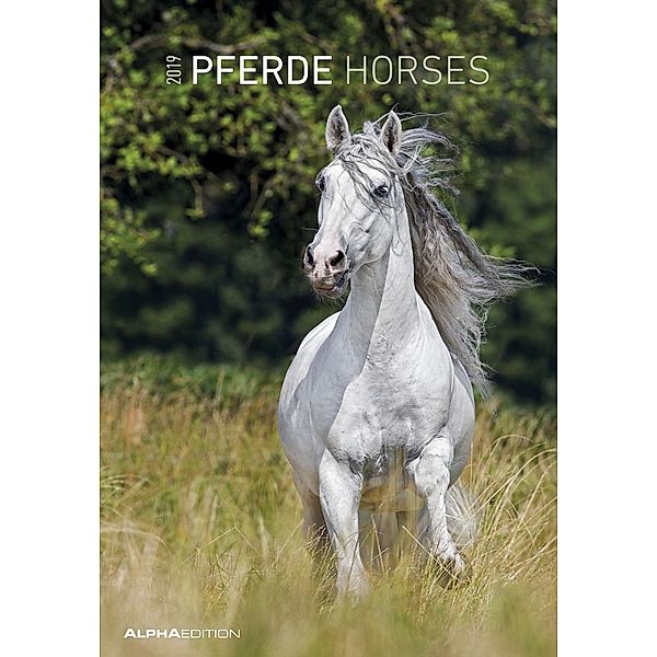 Pferde - Horses 2019, ALPHA EDITION