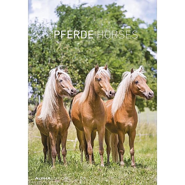 Pferde - Horses 2020, ALPHA EDITION