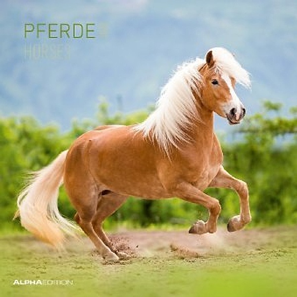Pferde / Horses 2020, ALPHA EDITION