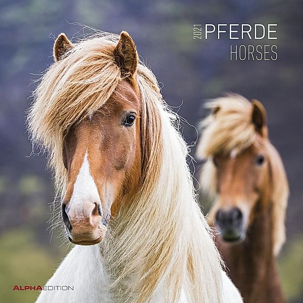 Pferde / Horses 2021