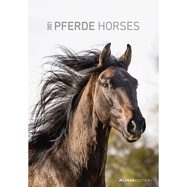 Pferde / Horses 2021