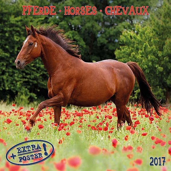 Pferde / Horses / Chevaux 2017