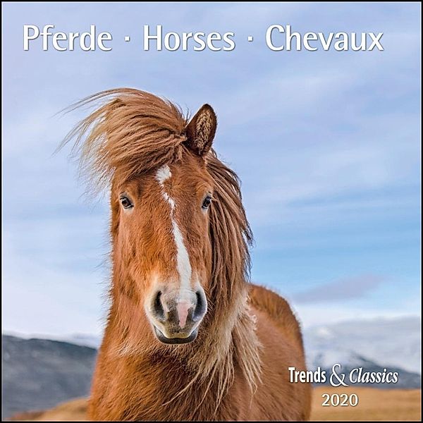 Pferde / Horses / Chevaux 2020