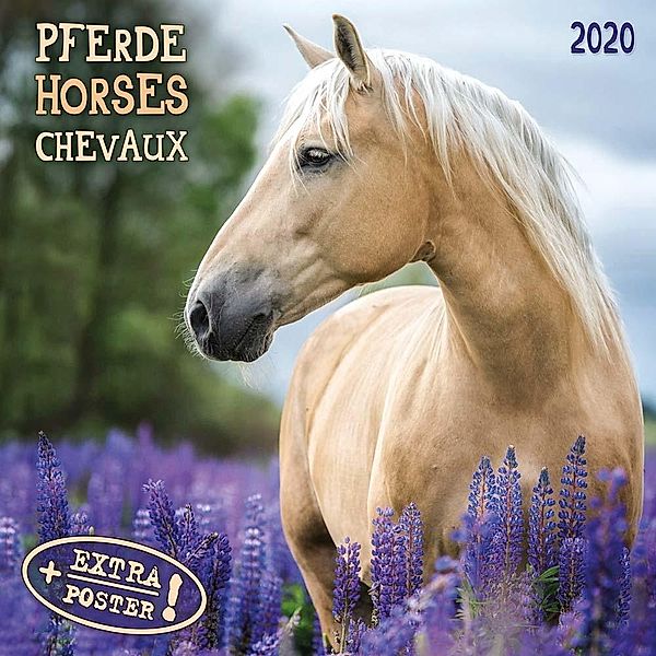 Pferde - Horses - Chevaux 2020