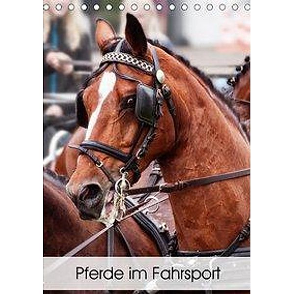 Pferde im Fahrsport (Tischkalender 2020 DIN A5 hoch), Marion Sixt