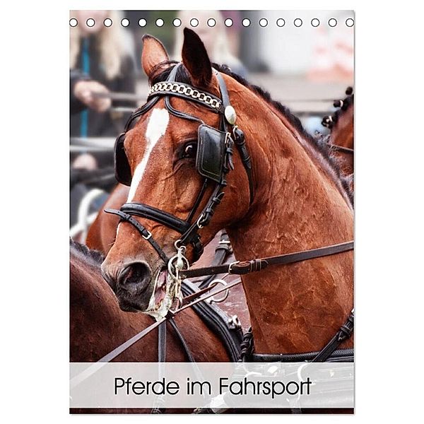 Pferde im Fahrsport (Tischkalender 2024 DIN A5 hoch), CALVENDO Monatskalender, Marion Sixt