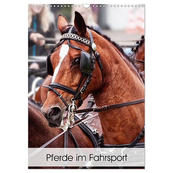 Pferde im Fahrsport (Wandkalender 2024 DIN A3 hoch), CALVENDO Monatskalender, Marion Sixt