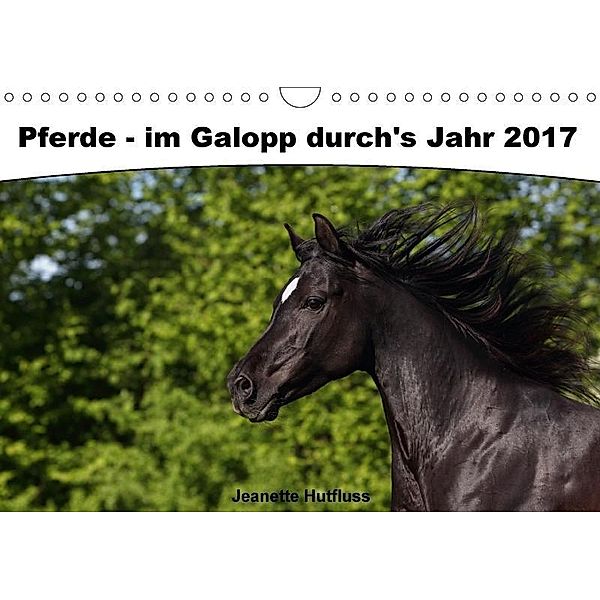 Pferde - im Galopp durch's Jahr 2017 (Wandkalender 2017 DIN A4 quer), Jeanette Hutfluss