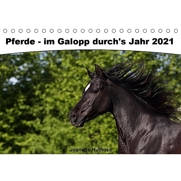 Pferde - im Galopp durch's Jahr 2021 (Tischkalender 2021 DIN A5 quer), Jeanette Hutfluss