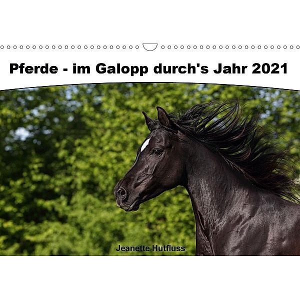 Pferde - im Galopp durch's Jahr 2021 (Wandkalender 2021 DIN A3 quer), Jeanette Hutfluss