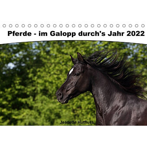 Pferde - im Galopp durch's Jahr 2022 (Tischkalender 2022 DIN A5 quer), Jeanette Hutfluss