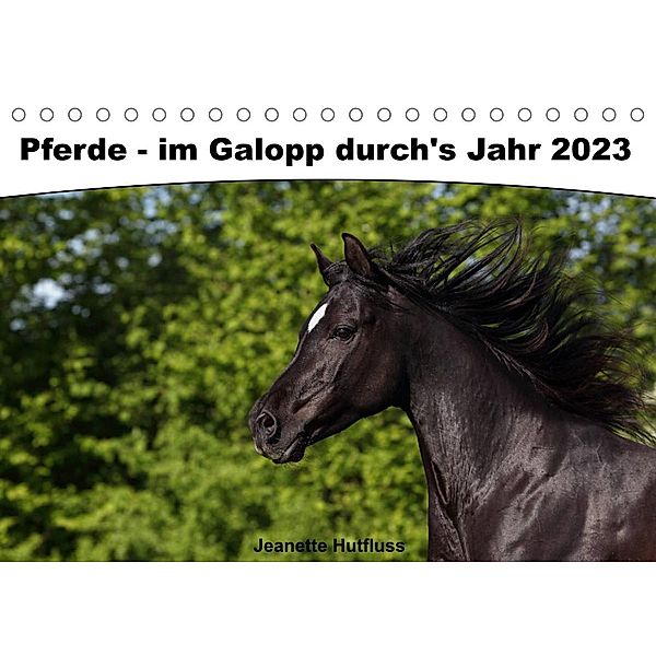 Pferde - im Galopp durch's Jahr 2023 (Tischkalender 2023 DIN A5 quer), Jeanette Hutfluss
