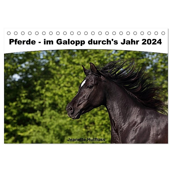 Pferde - im Galopp durch's Jahr 2024 (Tischkalender 2024 DIN A5 quer), CALVENDO Monatskalender, Jeanette Hutfluss