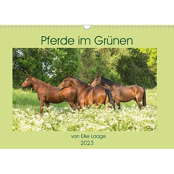 Pferde im Grünen (Wandkalender 2023 DIN A3 quer), Elke Laage